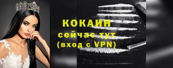 стаф Новозыбков