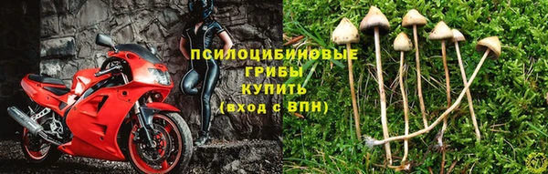 COCAINE Новодвинск