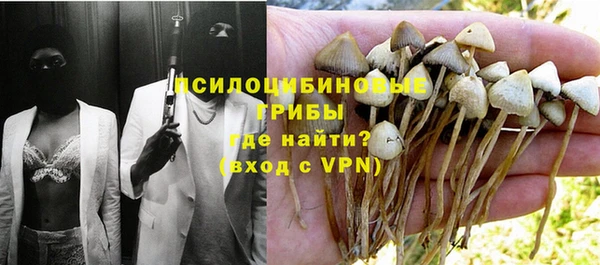 соль ск Нея