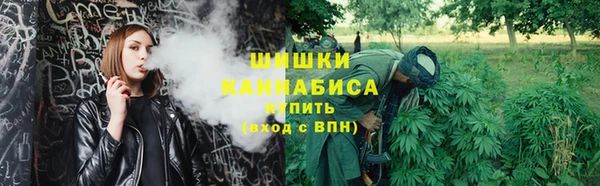 стаф Новозыбков