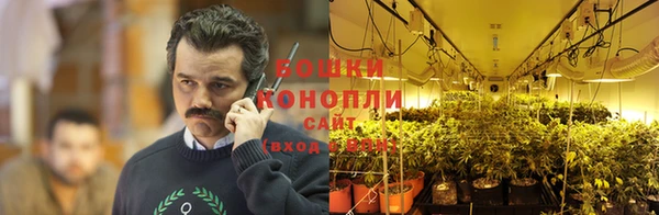 каннабис Канск