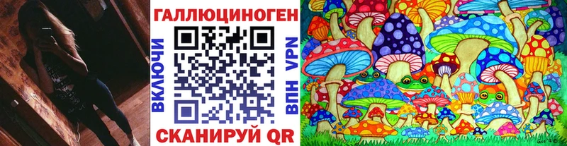 даркнет сайт  Приморск  Галлюциногенные грибы мицелий 